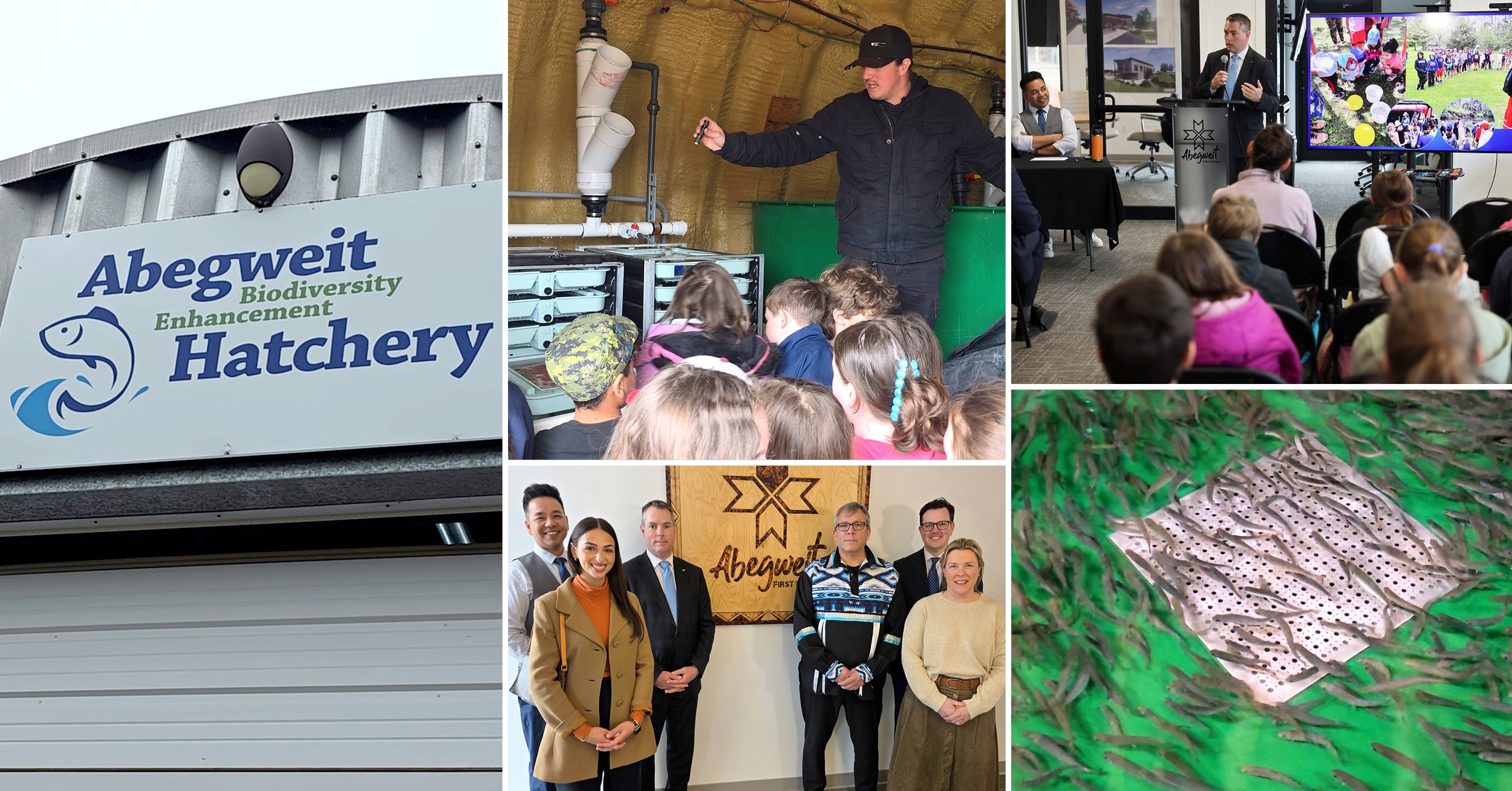 Collage shows Abegweit Biodiversity Hatchery sign, children touring tanks, a talk, photo, fish eggs.